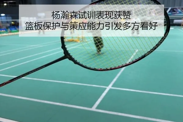 杨瀚森试训表现获赞 篮板保护与策应能力引发多方看好