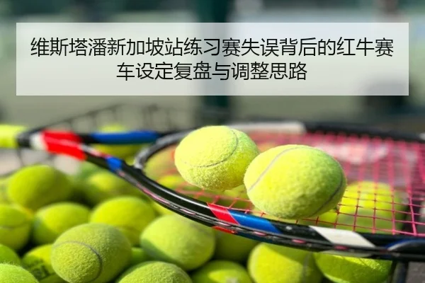 维斯塔潘新加坡站练习赛失误背后的红牛赛车设定复盘与调整思路